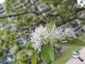 三星 Galaxy A37 5G 評測：支援 eSIM、平衡感極佳的中階之選