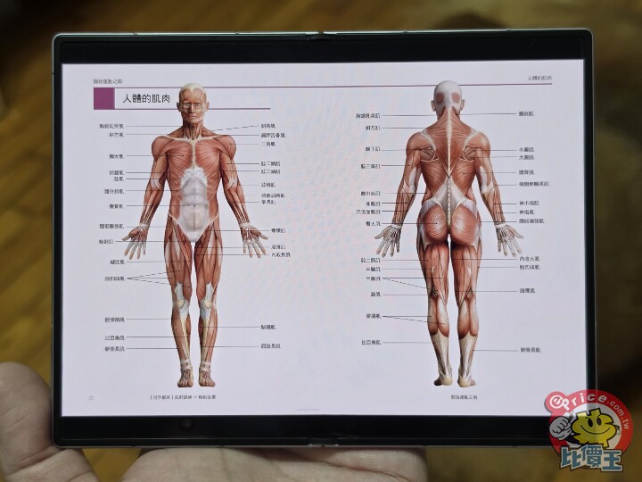 寬摺疊新體驗：Samsung Galaxy Z Fold 8 外觀、影音、續航、相機、開箱試用心得