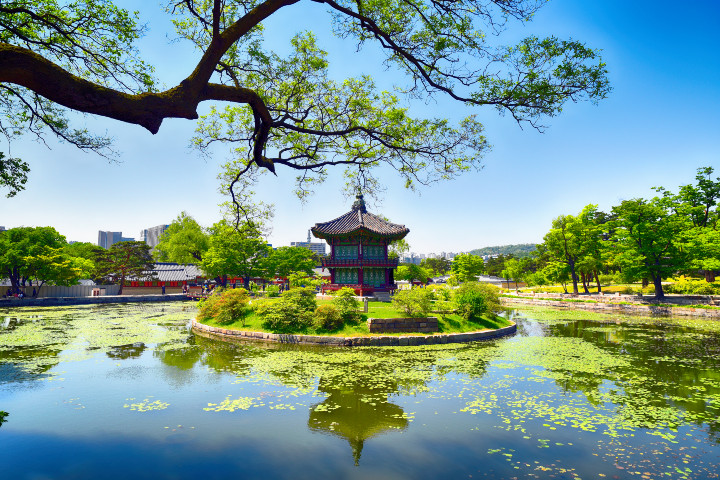 The new green of Gyeongbokgung-2.jpg