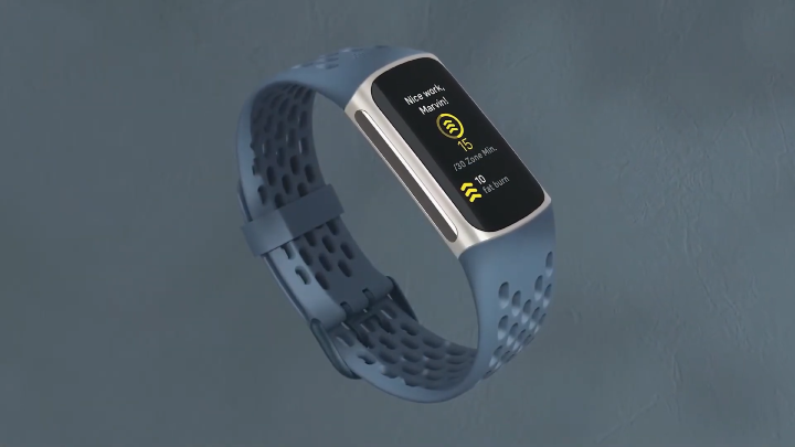 Meet Fitbit's New Fall 2021 Lineup 11-40 screenshot.png