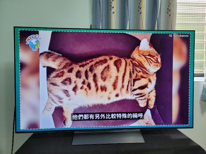 有感的驚人畫質 LG 55C2 OLED電視開箱