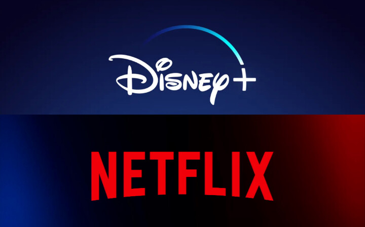 Disney+將於2021年11月登陸台灣_Logo圖 (寬版) copy 2.jpg