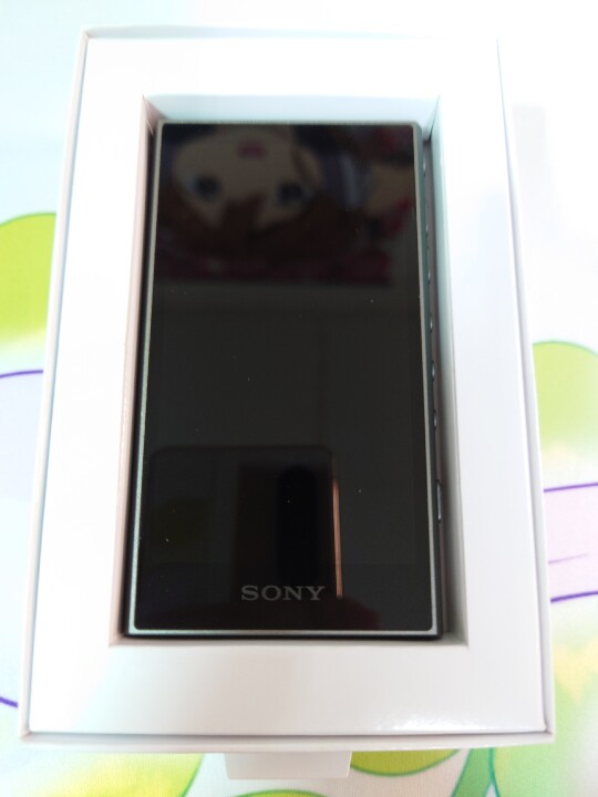 Sony Walkman NW-A306 灰色版 (偽)開箱