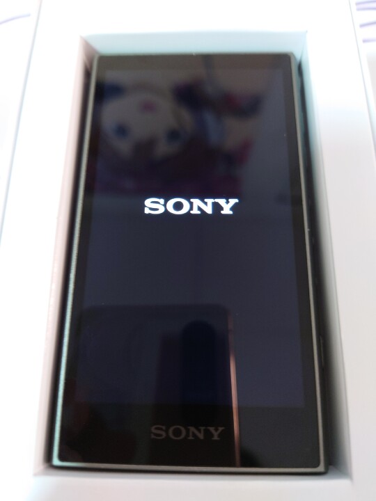 Sony Walkman NW-A306 灰色版 (偽)開箱