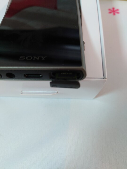 Sony Walkman NW-A306 灰色版 (偽)開箱