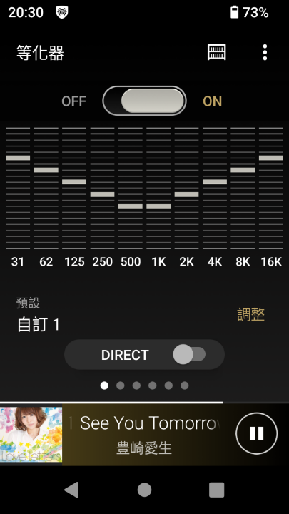 Sony Walkman NW-A306 灰色版 (偽)開箱