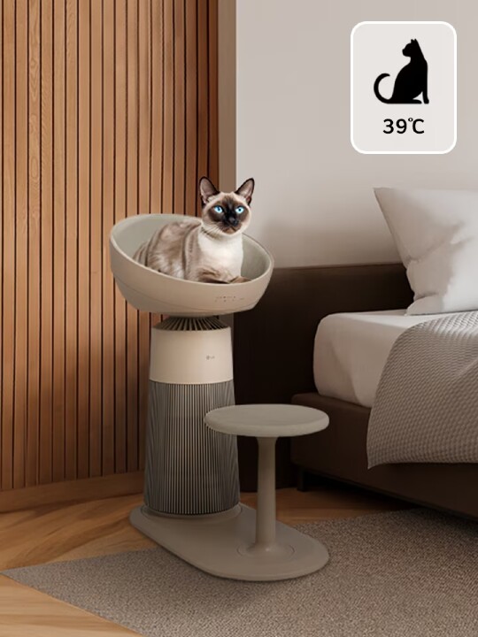 已經有清淨機了還要再買喵太座嗎？