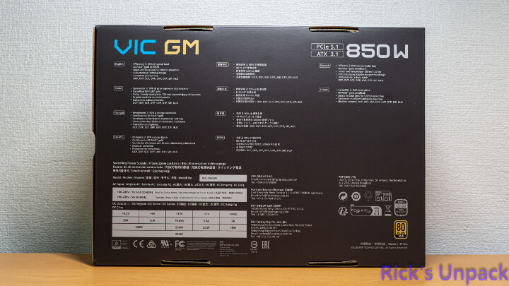 【開箱】高CP金牌全模組電源 | FSP VIC GM 850W