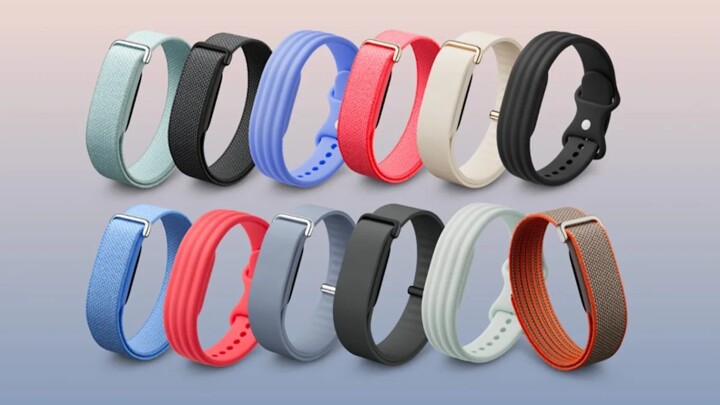 自己的手環自己做  Fitbit Air 開放官方設計圖 用戶可自行 3D 列印專屬錶帶